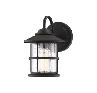 Moutd One Light Outdoor Wall Lantern in Matte Black
