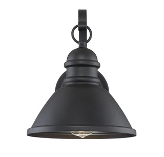 Moutd One Light Outdoor Wall Lantern in Matte Black