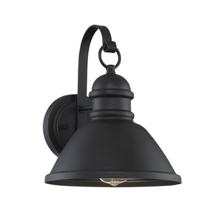 Moutd One Light Outdoor Wall Lantern in Matte Black