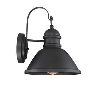 Moutd One Light Outdoor Wall Lantern in Matte Black