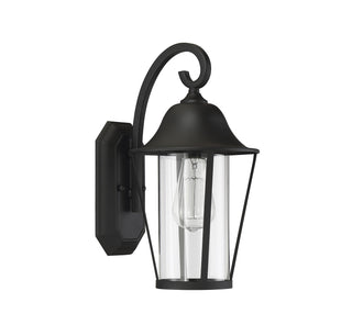 Moutd One Light Outdoor Wall Lantern in Matte Black