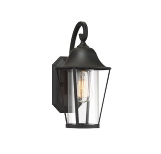 Moutd One Light Outdoor Wall Lantern in Matte Black