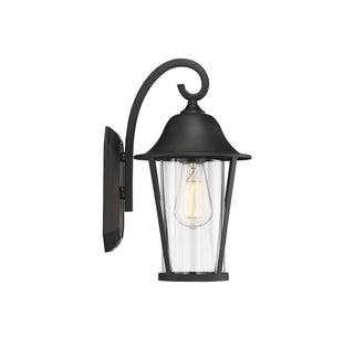Moutd One Light Outdoor Wall Lantern in Matte Black