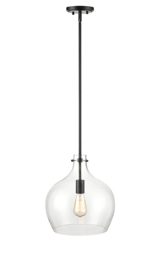 1-Light Pendant light Matte Black