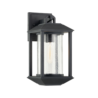 Mccarthy Wall Sconce with FORGED IRON Finish
