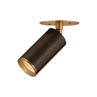 Caleb Flush Mount with Patina Brass/Bronze Finish