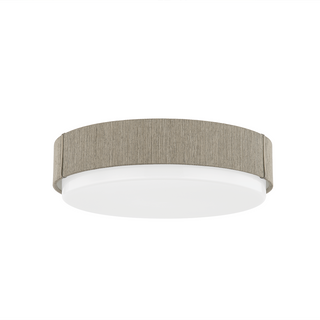ZANE Flush Mount with PATINA BRASS Finish