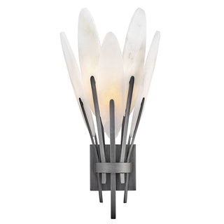 Nerine Large Sconce in Brushed Graphite
