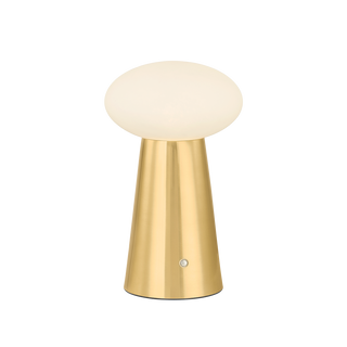 CASHEL Rechargeable Table Lamp with AGED BRASS Finish