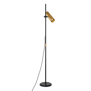 QUINN Floor Lamp with PATINA BRASS Finish