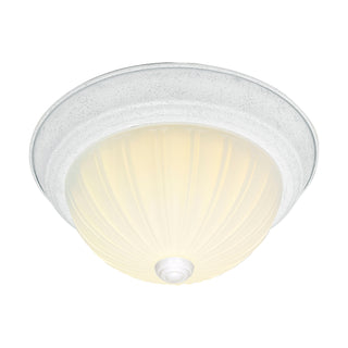 2 LIGHT 11" FLUSH MOUNT
