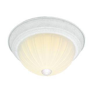 2 LIGHT 13" FLUSH MOUNT