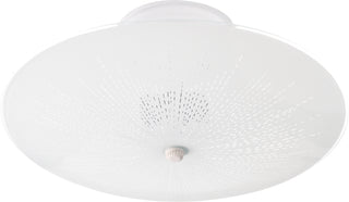 2 LIGHT 12" CEILING FIXTURE