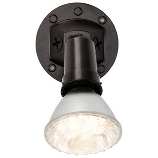 1 LIGHT PAR38 FLOODLIGHT