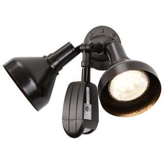 2 LIGHT PAR38 FLOODLIGHT