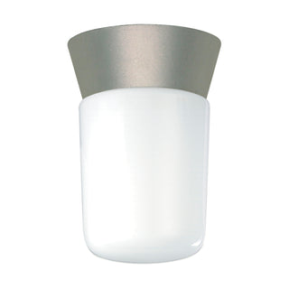 1 LIGHT UTILITY CEILING MOUNT