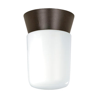 1 LIGHT UTILITY CEILING MOUNT