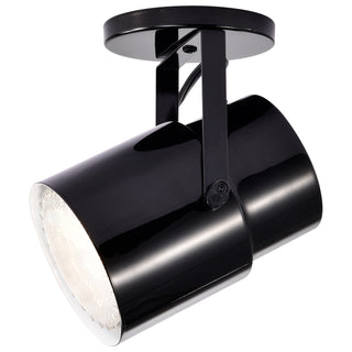 BLACK PLANT OR PIN UP LAMP