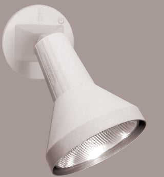 1 LIGHT 8" PAR38 FLOODLIGHT
