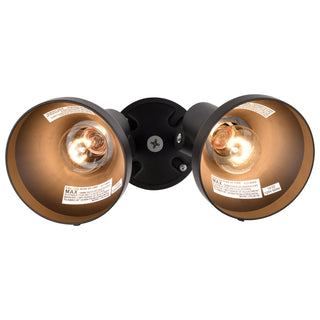 2 LIGHT 15" PAR38 FLOODLIGHT