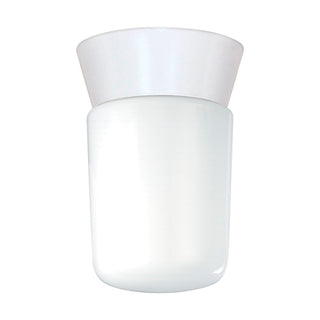1 LIGHT UTILITY CEILING MOUNT