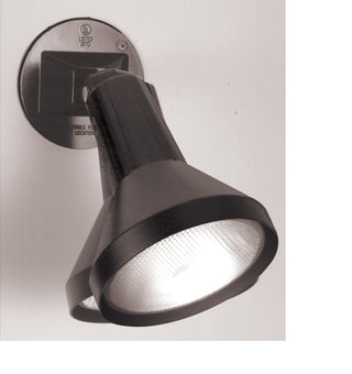 1 LIGHT 8" PAR38 FLOODLIGHT