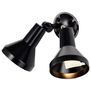 2 LIGHT 15" PAR38 FLOODLIGHT