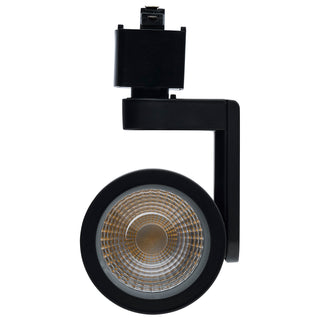 12W LED LANTERN TRK HD 36 DEG
