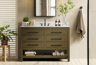 48 inch Single Bathroom Vanity in Chestnut Brown with backsplash