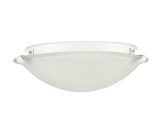 2-Light Flushmount Ceiling Light Matte White