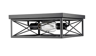 2-Light Flushmount Ceiling Light Matte Black