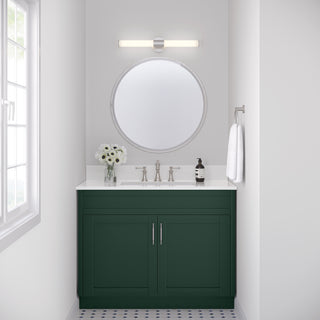 Trumann 1-Light Vanity LED Brushed Nickel