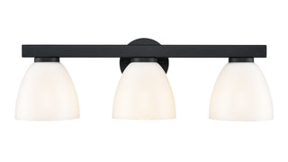 Apria 24" Wide 3-Light Vanity - Matte Black