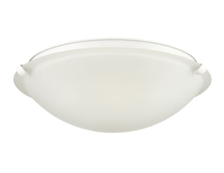 2-Light Flushmount Ceiling Light Matte White