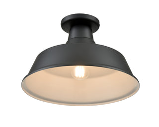 R Series 1-Light 14" Wide Semi-Flush Ceiling Fixture