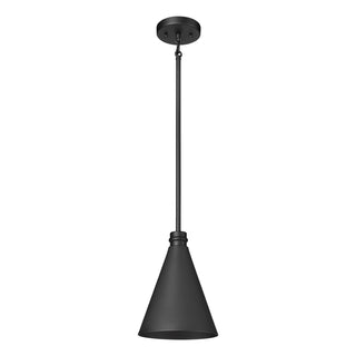 Axston 1-Light Outdoor Hanging Lantern Textured Black
