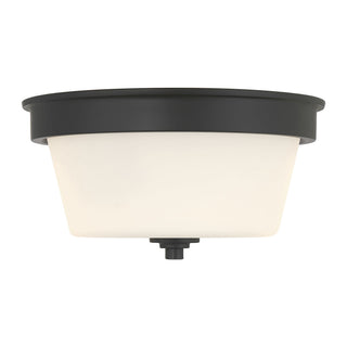 Strayhan 13" Wide 2-Light Flush Mount