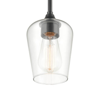 Ashford 1-Light Mini-Pendant - Matte Black