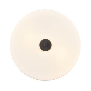 Laphia 13.25" Wide 2-Light Flushmount - Matte Black