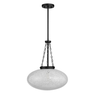 Willow 1-Light Pendant in Matte Black