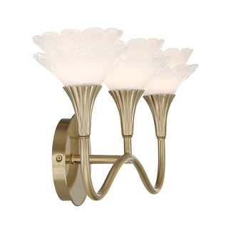 Florena 3-Light Bathroom Vanity Light in Noble Brass by Breegan Jane