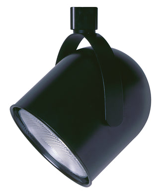 75W Adjustable Head Track Fixture