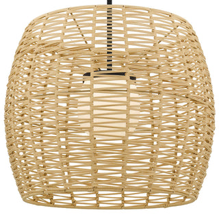 Aruba 24 Inch Outdoor / Indoor Pendant in Sand Black