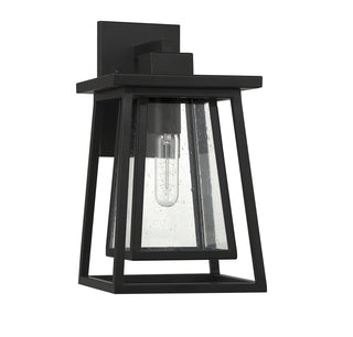 Denver 1-Light Outdoor Wall Lantern in Matte Black