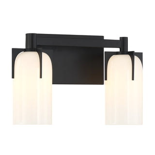 Caldwell 2-Light Bathroom Vanity Light in Matte Black
