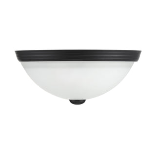 2-Light Ceiling Light in Matte Black