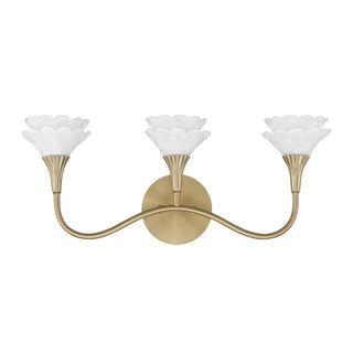 Florena 3-Light Bathroom Vanity Light in Noble Brass by Breegan Jane