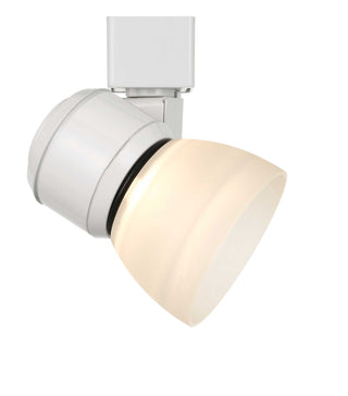 10W LED track fixture