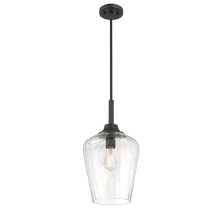 Carlton 1-Light Pendant in Matte Black