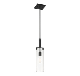 Winfield 1-Light Mini-Pendant in Matte Black